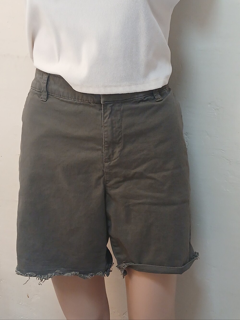 Style & Co. Olive Green Casual Shorts